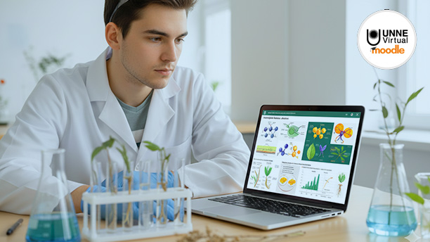 Plataforma virtual de aprendizaje UNNE Moodle