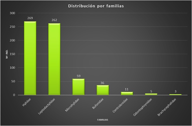 Imagen de información almacenada por familias