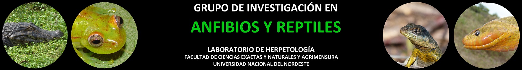 Membrete del Grupo de Investigacion en Anfibios y Reptiles