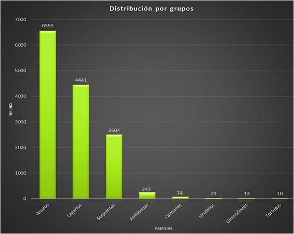 Representación de los grupos