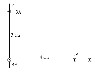 magnetico_03.gif (1945 bytes)