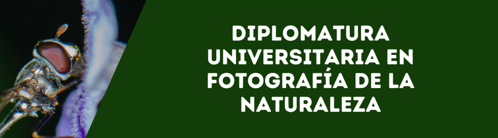 Diplomatura Universitaria en Fotografía de la Naturaleza​
