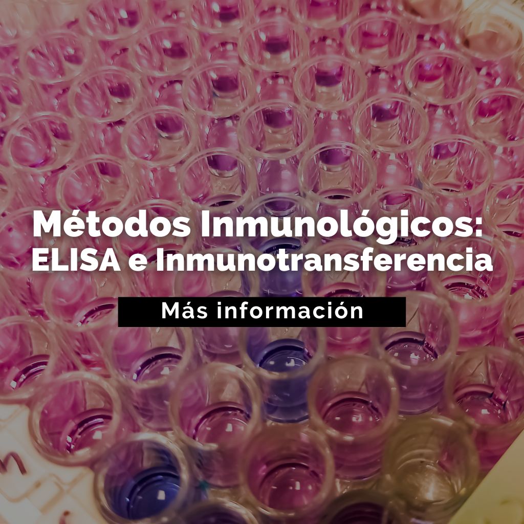 Métodos Inmunológicos: ELISA e inmunostransferencia