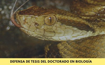 Doctorado en Biología: Se defenderá la tesis denominada “Producción de un antiveneno botrópico experimental mediante inmunización con veneno bloqueado con EDTA-Na₂ y CpG-ODN/Coa-ASC16 como adyuvante”