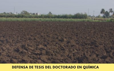 Doctorado en Química: Se defenderá la tesis denominada “Estimación de la movilidad de contaminantes emergentes en suelos agrícolas de la Región Mesopotámica”