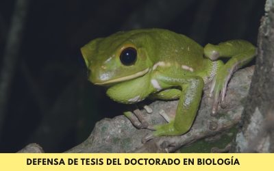 Doctorado en Biología: Se defenderá la tesis denominada “Ecología de las comunidades de anuros asociadas a humedales de la región centro-sur del Paraguay”