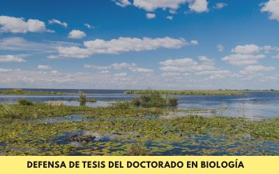 Doctorado en Biología: Se defenderá la tesis denominada “Zooarqueología de los sistemas de paisajes de humedales del río Paraná con grandes lagunas y de los grandes Esteros de la provincia de Corrientes (Argentina)”